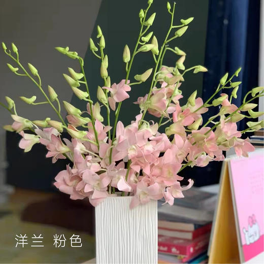 洋兰 粉色 12支/扎 以实物为准 云南基地发货（价格已包含包装费用） 运费以实际为准，多退少补。） 商品图0