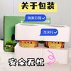 炎炎夏日解腻神器【脆吉吉】手工仔仔姜 现做现发 脆嫩酸甜 只取芽芽最尖尖 商品缩略图7