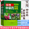 实用中草药彩色图集【张晓燕  谢勇 】 商品缩略图1