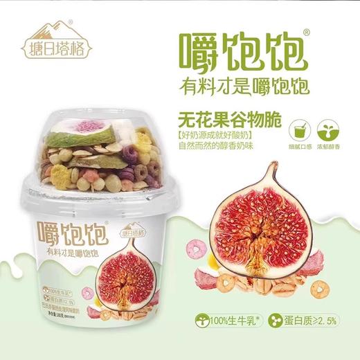【超市】塘日塔格酸奶冻冻塔（无花果） 商品图0