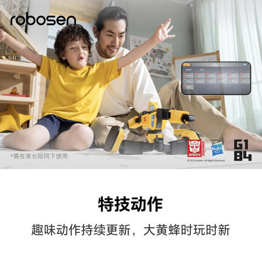 乐森 G1大黄蜂机器人 DHFP-BC 商品图6