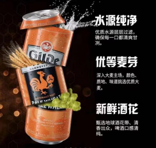德国杰尔德啤酒 500ML*24罐 商品图3