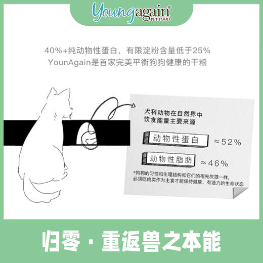 美国YoungAgain全犬期无谷高蛋白低碳水YG狗粮猪肉零淀粉 商品图4