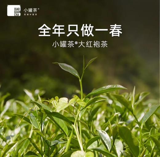 小罐茶银罐 大红袍茶10罐礼盒装 商品图2