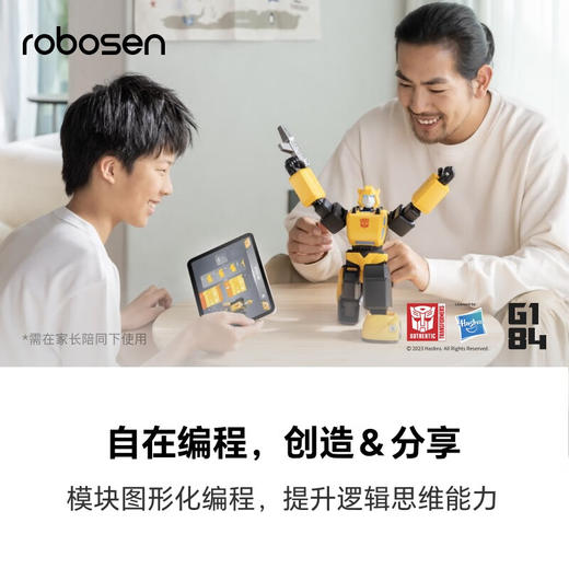 乐森 G1大黄蜂机器人 DHFP-BC 商品图3