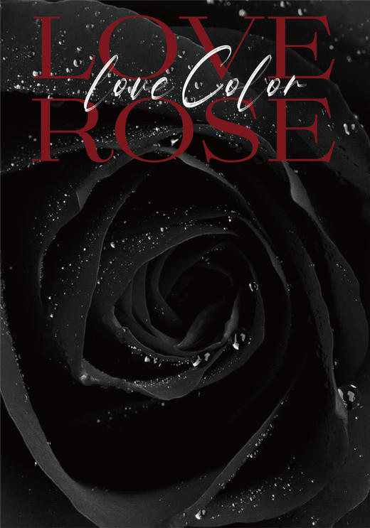 雨后玫瑰纸/10张 商品图9