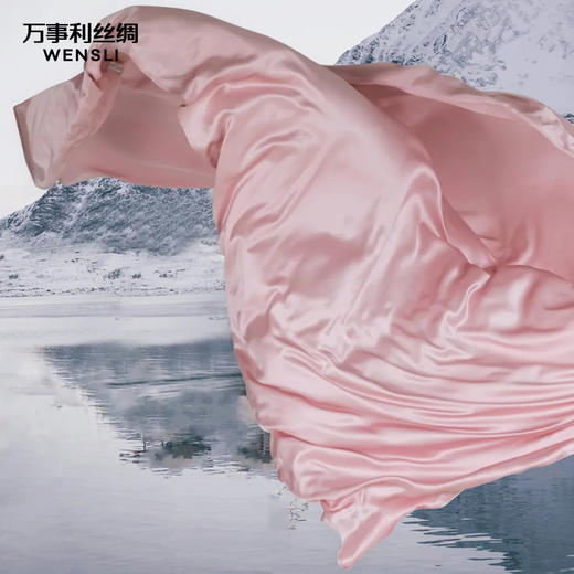 万事利“G20系列”真丝床单 商品图5