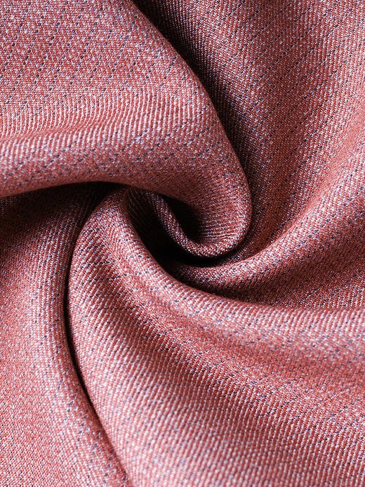 双色肌理豆沙红 显白不挑皮的高级色 抗皱免熨 通勤/约会/开会皆可 显高显瘦 立体挺拔 米思阳2026春新款通勤OL修身长袖西装领连衣裙女2273 商品图3