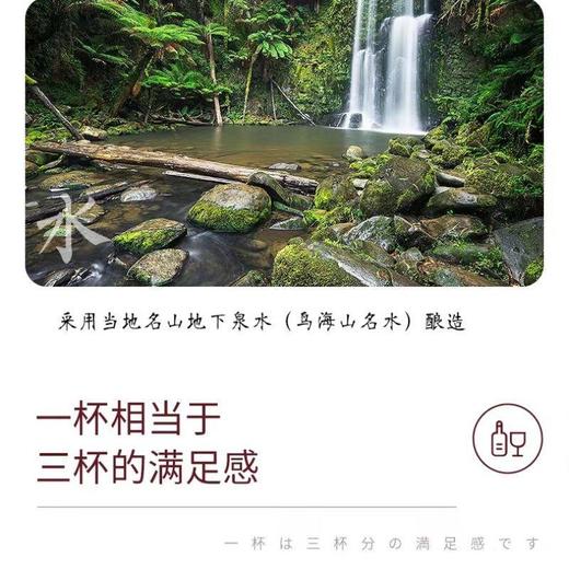 【锦高乐金】楯野川生肖纯米大吟酿清酒720ml/瓶 商品图2