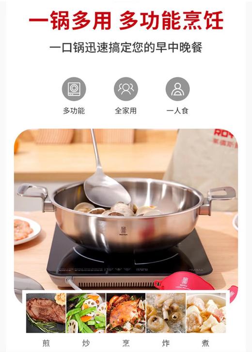 莱德斯ROYDX飒乐炒锅 L12100 商品图4