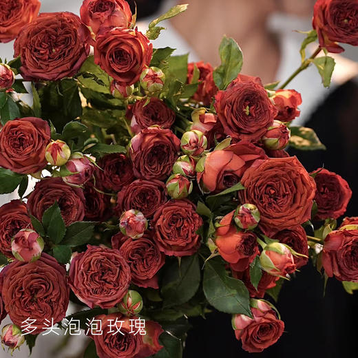 多头玫瑰 巧克力泡泡 10支/扎 云南基地发货 （价格已包含包装费用） 运费以实际为准，多退少补。 商品图1