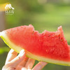 生态沙漠西瓜 | 合作生产 * Ecological desert watermelon  | Coproduction 商品缩略图2