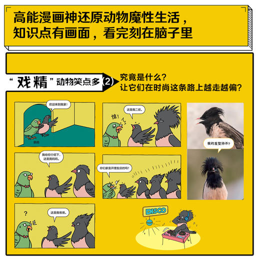 谢耳朵漫画·动物大爆炸（套装） 商品图2