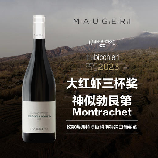 牧歌弗朗特博斯科埃特纳白葡萄酒 2021 Maugeri Etna DOC Bianco Superiore  Contrada Volpare Frontebosco 商品图0