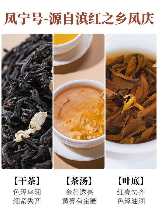 凤宁号【茉莉花茶】花香滇红茶 100克/盒 商品图4