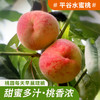 夏日鲜桃尝鲜  平谷水蜜桃 脆甜多汁  桃香味浓  礼盒装 平谷大桃 商品缩略图8