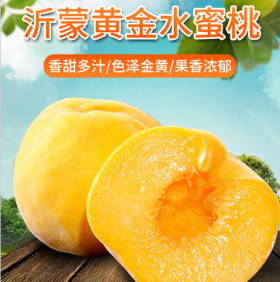 【秒杀】山东黄金水蜜桃黄毛桃4.5斤 