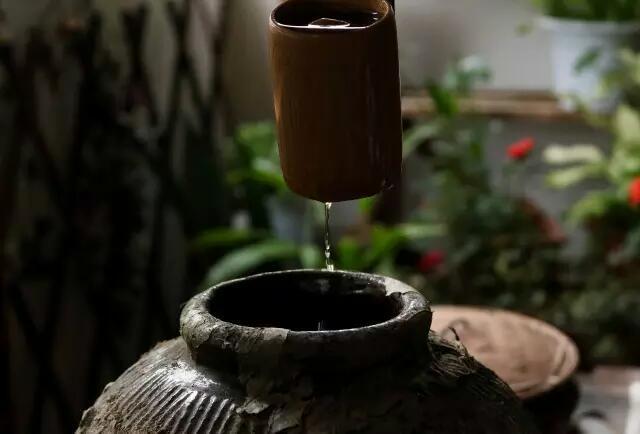 菊斋良品•手酿青梅酒