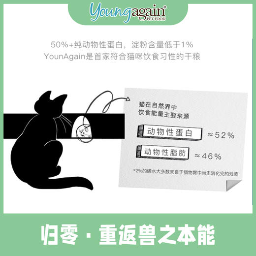 美国YoungAgain猫粮4磅/8磅零淀粉高蛋白低敏成猫幼猫咪主食 商品图5