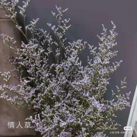 情人草 1kg/扎 以实物为准 云南基地发货（价格已包含包装费用） 运费以实际为准，多退少补。）