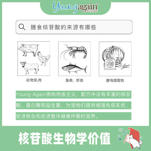 美国YoungAgain全犬期无谷高蛋白低碳水YG狗粮猪肉零淀粉 商品图3