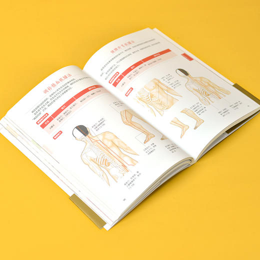 图解中医入门轻松就懂 中医入门科普图解书 从理论到实操 从诊断到治疗 按摩 拔罐 艾灸 刮痧 一应俱全 速学速用 初学中医 这一本就够了 商品图5