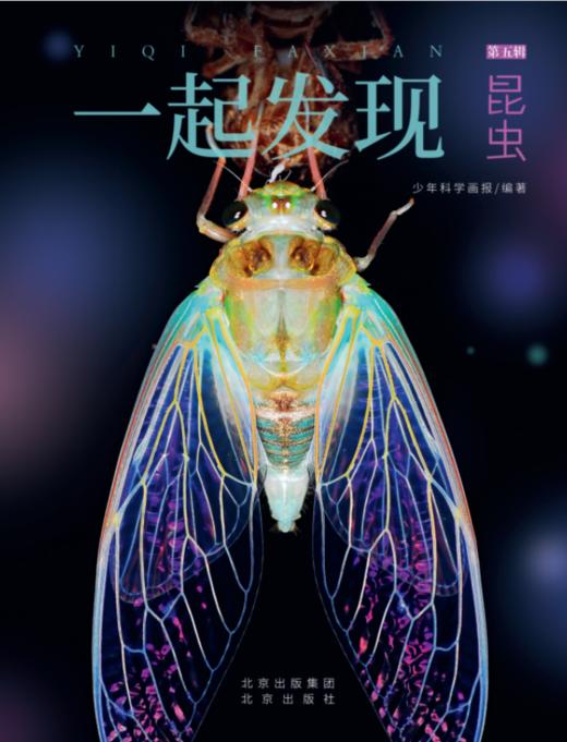 2023年《一起发现》过刊优惠随机3本 商品图1