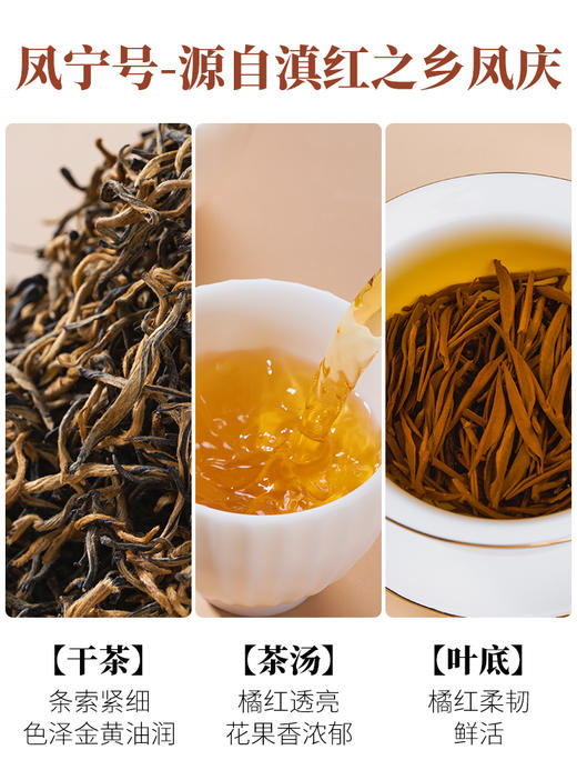 凤宁号【龙眼凤毫】特级单芽滇红茶 100克/盒 商品图3