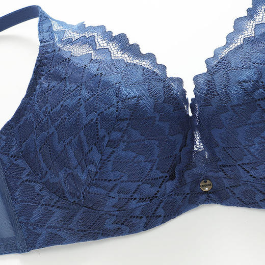 2F【Fandecie芬狄诗】性感舒适文胸FB00428LGY/HBL 商品图3