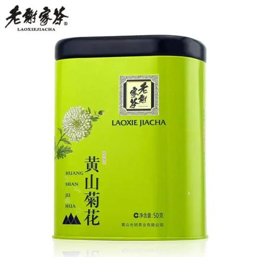 黄山菊花 商品图0