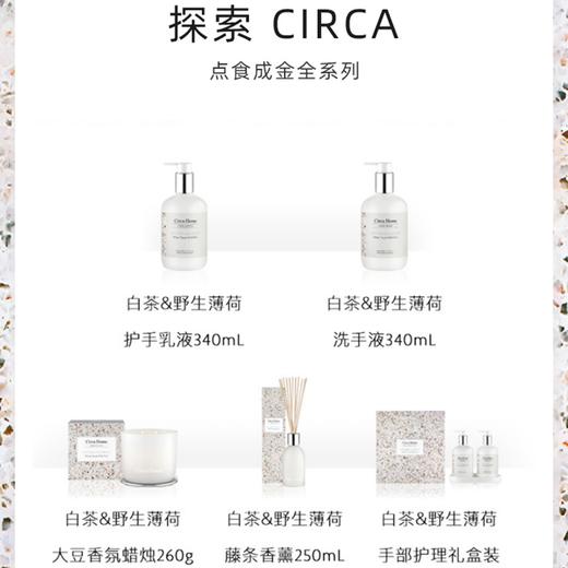 Circa白茶&野生薄荷260g大豆香氛蜡烛澳大利亚点食成金系列香薰 商品图3