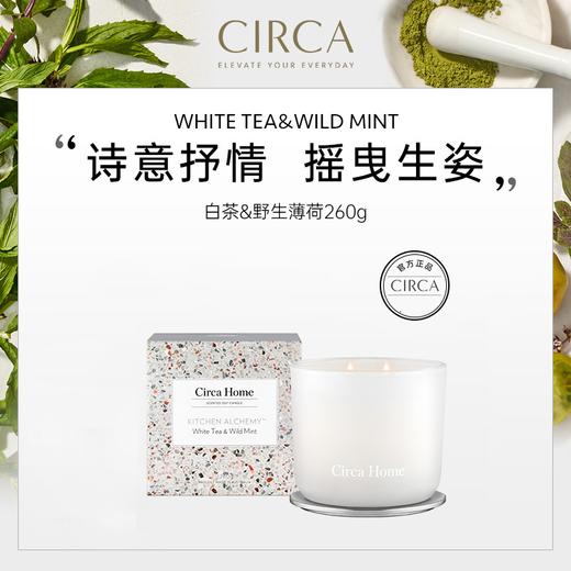Circa白茶&野生薄荷260g大豆香氛蜡烛澳大利亚点食成金系列香薰 商品图0