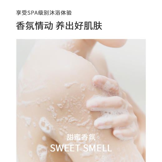 日本浅香植物氨基酸洗沐套装500g+500g 商品图1