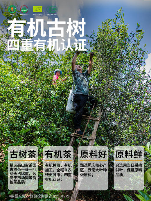 凤宁号【有机古树经典58】有机古树滇红茶 100克/盒 商品图3