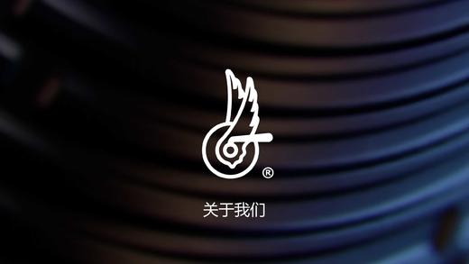 Campagnolo套件 商品图0