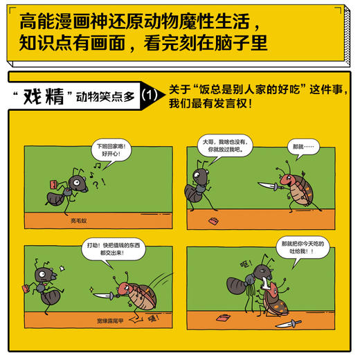 谢耳朵漫画·动物大爆炸（套装） 商品图3