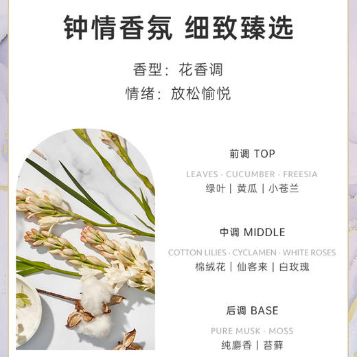Circa棉绒花&小苍兰250ml藤条香薰澳大利亚无火香氛礼盒卧室居家 商品图2