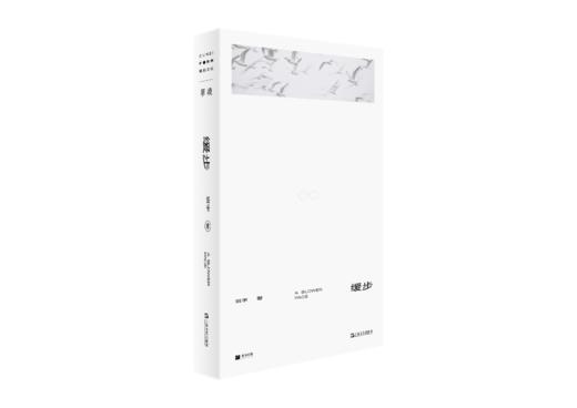 《单读新书026：冬泳》  班宇著 商品图3