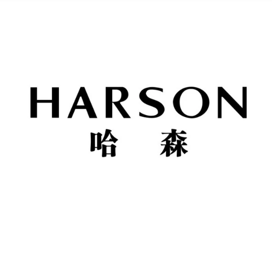 499送50   HARSON/哈森 到店自提，勿拍不发货