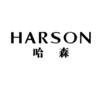 499送50   HARSON/哈森 到店自提，勿拍不发货 商品缩略图0