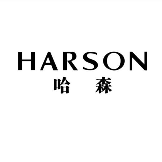 满2000减200 HARSON/哈森 到店自提，勿拍不发货 商品图0