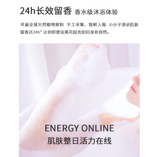 日本浅香植物氨基酸洗沐套装500g+500g 商品图2