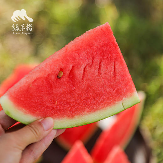 生态沙漠西瓜 | 合作生产 * Ecological desert watermelon  | Coproduction 商品图4