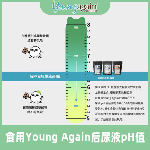 美国YoungAgain猫粮4磅/8磅零淀粉高蛋白低敏成猫幼猫咪主食 商品图3