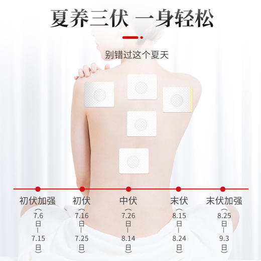 【买三送二！艾草三伏贴带穴位图】无纺布贴透气亲肤，粘贴牢固不易脱落，持续渗透，随时随地想贴就贴，全身可用，三伏贴穴位贴三九贴温灸贴 商品图2