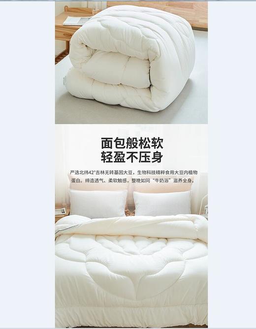 梦洁燃梦大豆抗菌春秋被 1010287653 商品图5