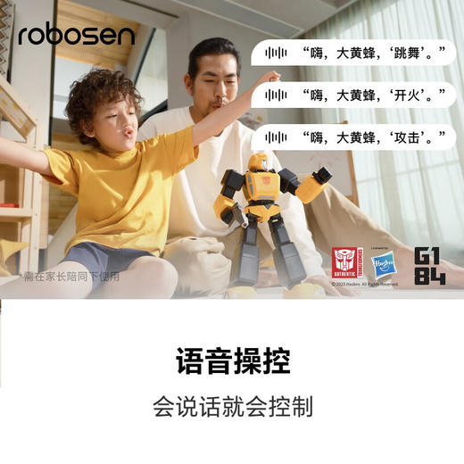 乐森 G1大黄蜂机器人 DHFP-BC 商品图1