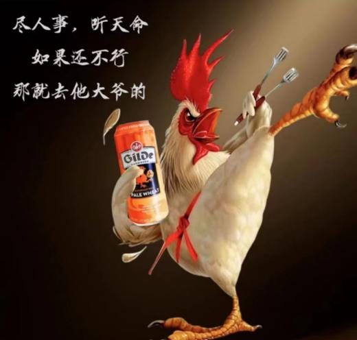 德国杰尔德啤酒 500ML*24罐 商品图4