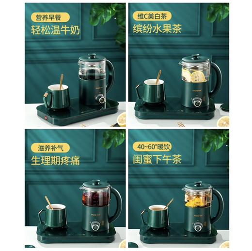 琳朗泡煮+暖饮一体机 商品图2