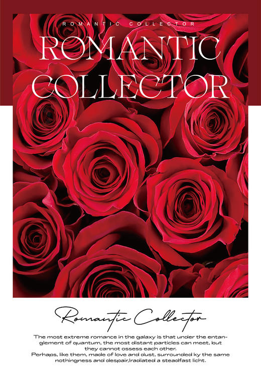 雨后玫瑰纸/10张 商品图6